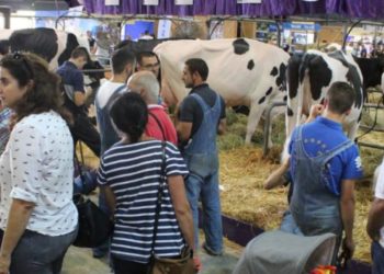 Gijón Impulsa repetirá presencia en la próxima Feria AGROPEC, fechada del 27 al 29 de septiembre