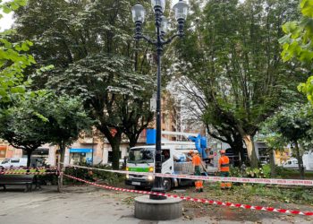 Emulsa inicia los trabajos para recortar el castaño caído en la plazuela San Miguel