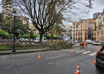 Gijón ganará 347 árboles «perdidos» en los últimos años
