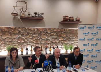 De impuestos a las VUT al cobro de parkings en las playas: las alternativas de OTEA a la ‘tasa turística’