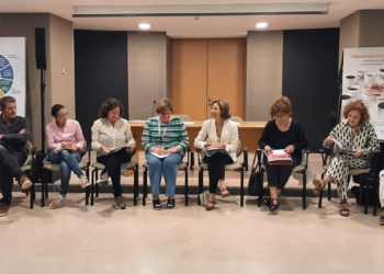 Gijón encuestará a sus vecinos de la zona centro mayores de 80 años que vivan solos