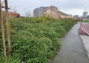 XIXONAES | La maleza se come la ‘acera’ en Sanz Crespo