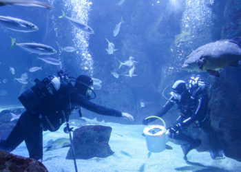 El Bioparc Acuario de Gijón celebra el Día Mundial de los Animales