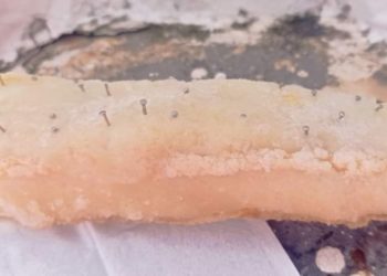 Hallan un alimento ‘condimentado’ con alfileres frente a la ‘escalerona’: «Es directo: quieren matar a los perros»