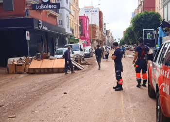 Necesidades de cuatro patas: Gijón también cuenta con puntos de recogida para las mascotas de Valencia