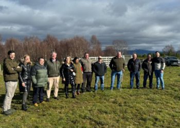 El proyecto que recupera zonas de pastizal en Ibias para compensar las emisiones de empresas asturianas