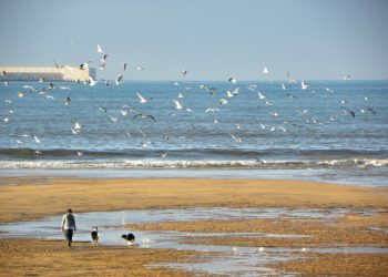 Temperaturas casi primaverales y alertas por viento y oleaje: la predicción del tiempo en Gijón