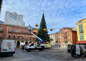 El ‘arbolón’ navideño de la Plaza Mayor, casi a punto para el encendido del viernes
