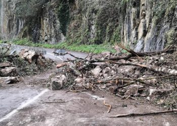 Un ‘argayo’ corta totalmente la carretera AS-227 entre Belmonte de Miranda y Somiedo