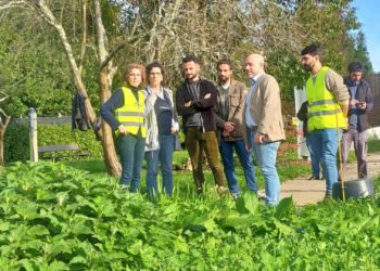 El Ayuntamiento confía en extrapolar la parcela de tecnosuelos del Botánico a otras áreas de la ciudad