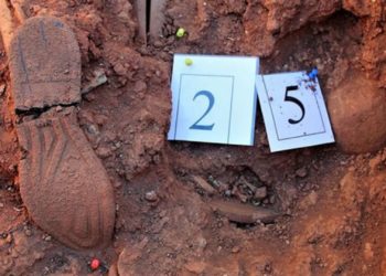 El comité técnico de Memoria Democrática aprueba la exhumación de las tres primeras fosas en Asturias