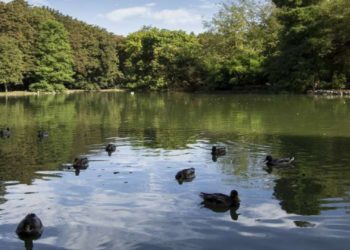 El Ayuntamiento invertirá 884.000 euros en reparar parques, zonas de juego y pasarelas en espacios naturales