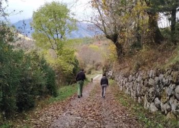 30 concejos asturianos firman un manifiesto para reclamar la “prescripción de naturaleza” para la salud mental