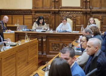 El Pleno de enero, en seis claves