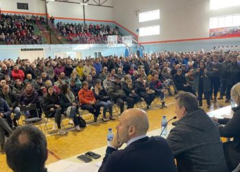 La estrategia del Principado para atajar la tuberculosis bovina en Tineo tensa la cuerda con los ganaderos locales