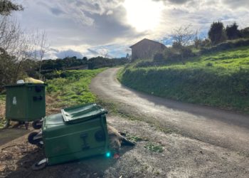 Un jabalí muerto permanece sin retirar en Villaviciosa días después de haberse notificado