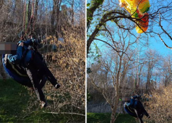 Rescatan ileso a un parapentista atrapado en un árbol en Laviana