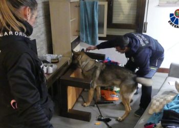 La Ertzaintza detiene a cuatro personas por asaltos a viviendas en varias zonas de España, incluida Gijón