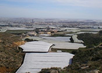 Un detenido en Oviedo en la operación para desarticular un entramado que facilitaba el cobro indebido de ayudas