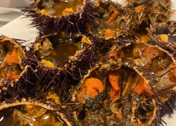 El oricio asturiano vuelve a las mesas