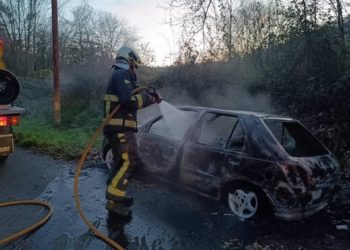 Un coche arde en Mieres sin dejar heridos