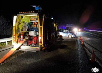 Un jabalí provoca un accidente en la autovía del Cantábrico con tres heridos