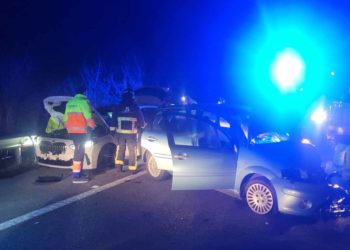 Un jabalí provoca un accidente en la autovía del Cantábrico con tres heridos
