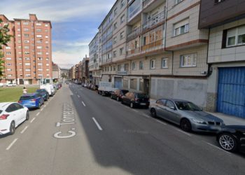Un atropello a un perro en Nuevo Gijón se salda con el animal muerto y su dueña con un ataque de ansiedad