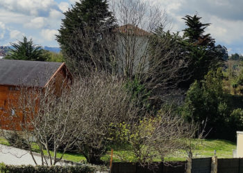 Las tres vidas de Roces