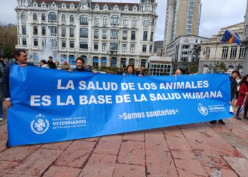 Veterinarios asturianos: «La ley nos obliga a elegir entre incumplirla o tratar mal a los animales»
