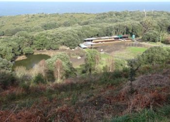 Confirman la pena de prisión para un ganadero que vertió purines en la cueva prehistórica de El Pindal