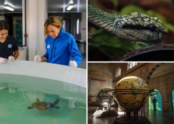 «Esperanza», sí, pero también «acción»: el doble mensaje de los BIOPARC en el Día de la Madre Tierra