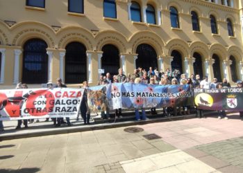 “Lobo vivo, lobo protegido”: una concentración clama en Oviedo contra la caza de este animal