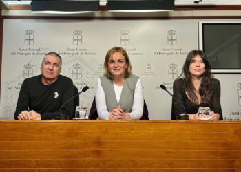 Covadonga Tomé exige la creación de una comisión que palíe la «falta de explicaciones» en torno al accidente de Cerredo