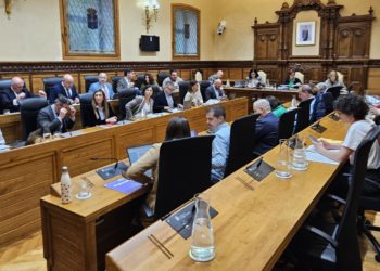 El Pleno aprueba recurrir la sentencia contra el Plan de Normalización Llingüística con la abstención del PSOE y la oposición de Vox