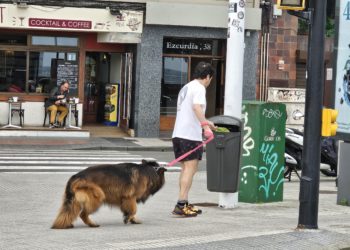 La identificación en Gijón de perros por el ADN a través de sus heces, una posibilidad a futuro… Pero no a presente