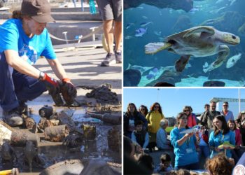 El Acuario de Gijón, como todos los BIOPARC de España, celebran el Día Mundial del Medio Ambiente