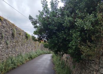 La maleza ‘devora’ el camino del Mortero de Santa Bárbara: «Dentro de poco ni la ambulancia podrá pasar»