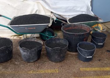 Izquierda Unida lanza la alarma: hay contaminación por caucho en el Botánico de Gijón