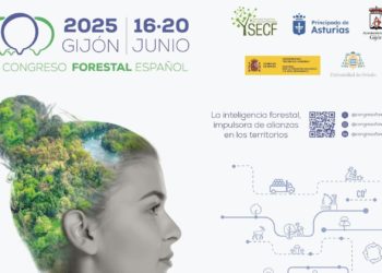 El IX Congreso Forestal Español reunirá en Gijón a más de un millar de personas ligadas al sector
