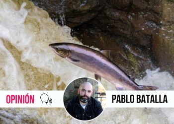 Salvad a los salmones