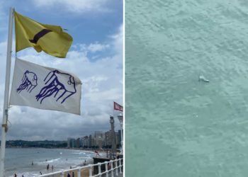 VÍDEO | Una carabela portuguesa paraliza el flanco oeste de la playa de San Lorenzo