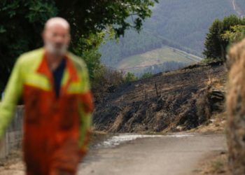 Se suceden las buenas noticias: ninguno de los seis incendios forestales que arden en Asturias está activo
