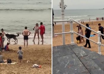 Ni detenida, ni multada por estar con su perro en San Lorenzo: la realidad tras el polémico vídeo de Instagram