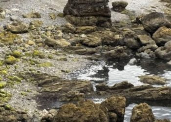 Malestar vecinal por el persistente hedor que domina la playa frente al Sanatorio Marítimo: «Es de vomitar»