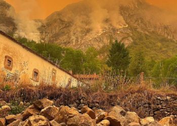 Incendios sin precedentes ponen en jaque al oso pardo en Asturias y León