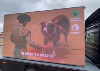 ¿Vale menos un toro que un perro? El mensaje sobre ruedas que PACMA y Asturies Antitaurina lanzan en Gijón