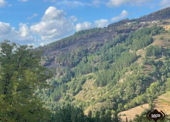 El Principado anuncia riesgo «alto» de incendio forestal en la mayor parte del territorio para este lunes