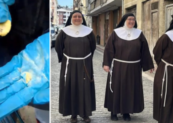 Las exmonjas de Belorado denuncian el envenenamiento de sus perros en Asturias