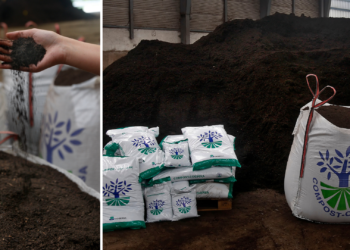 Con garantía ecológica europea: así es el compost de Cogersa que ya puedes usar en tu huerta este otoño